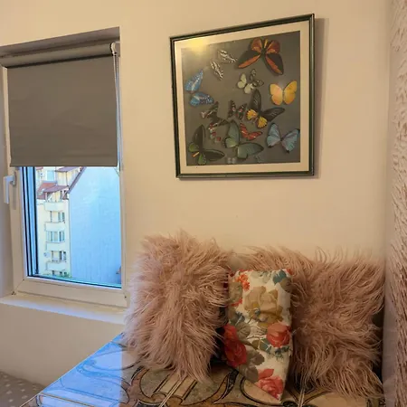 アパート Central, Rooftop Penthouse-2br